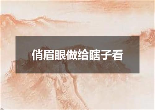 俏眉眼做给瞎子看