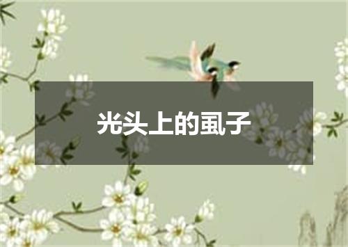 光头上的虱子