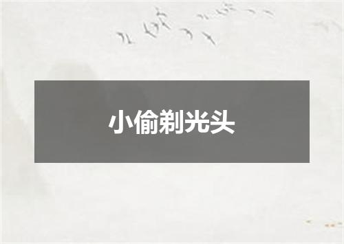 小偷剃光头
