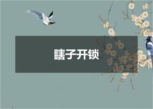 瞎子开锁