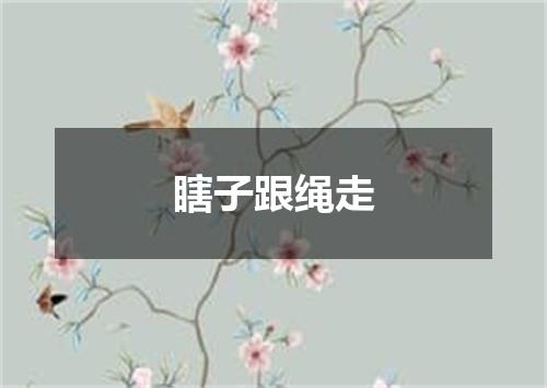 瞎子跟绳走