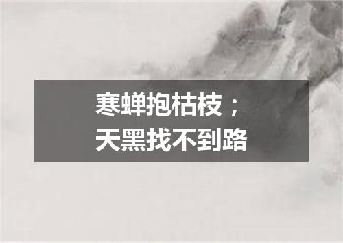 寒蝉抱枯枝；天黑找不到路