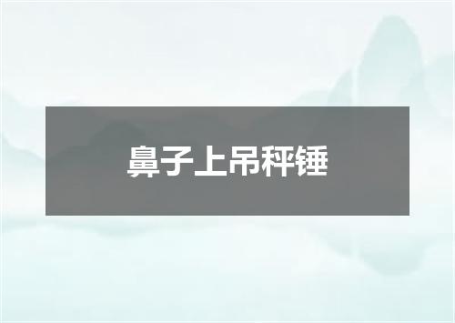 鼻子上吊秤锤