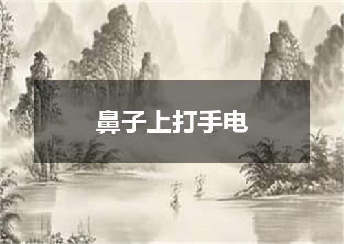 鼻子上打手电