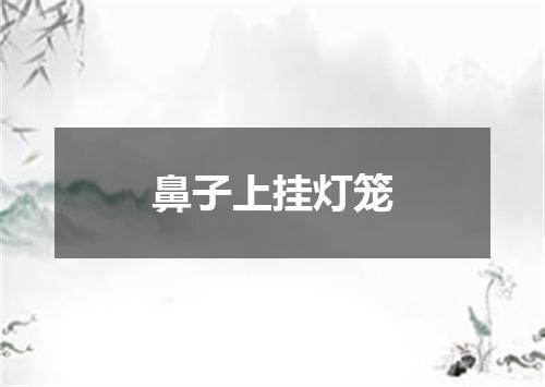 鼻子上挂灯笼
