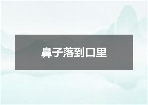 鼻子落到口里