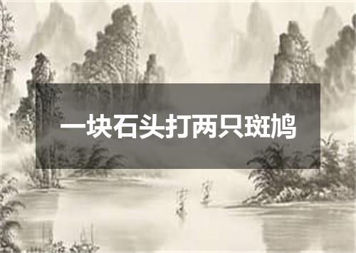 一块石头打两只斑鸠