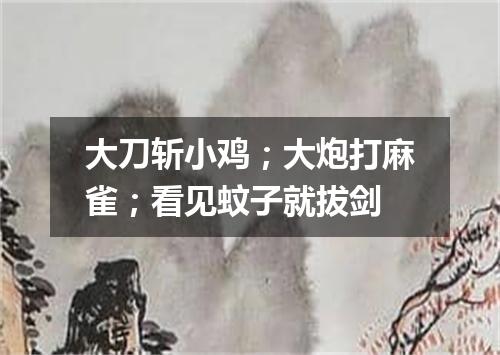 大刀斩小鸡；大炮打麻雀；看见蚊子就拔剑