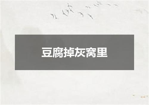 豆腐掉灰窝里