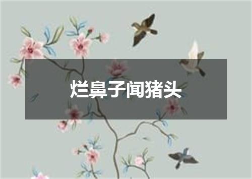 烂鼻子闻猪头