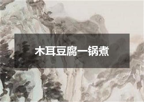 木耳豆腐一锅煮