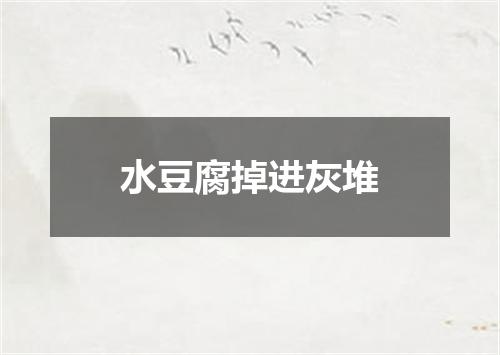 水豆腐掉进灰堆