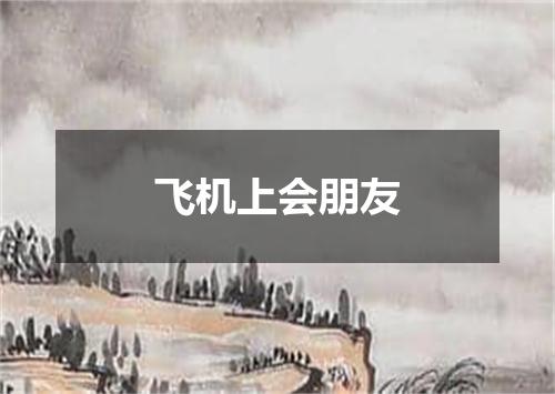 飞机上会朋友