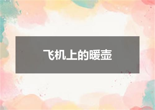 飞机上的暖壶