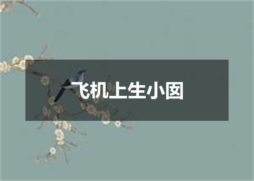 飞机上生小囡