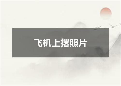 飞机上撂照片