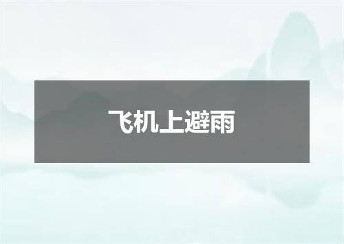 飞机上避雨