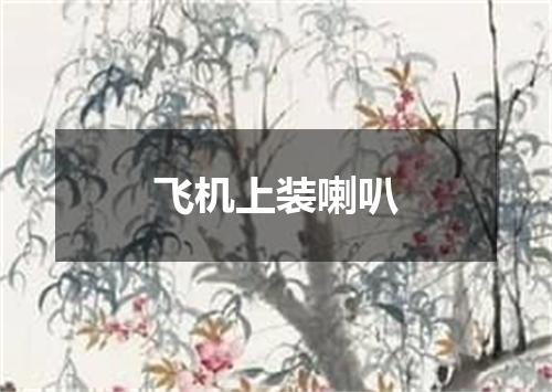 飞机上装喇叭
