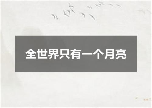 全世界只有一个月亮