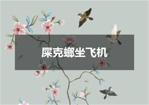 屎克螂坐飞机