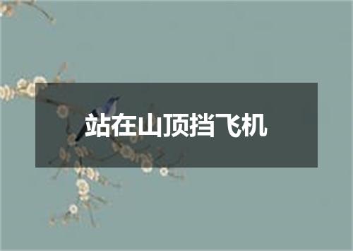 站在山顶挡飞机