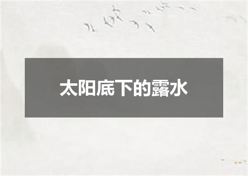 太阳底下的露水