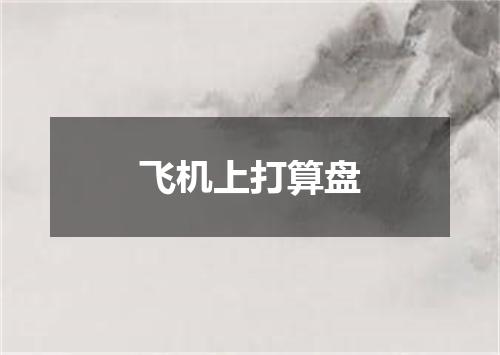 飞机上打算盘