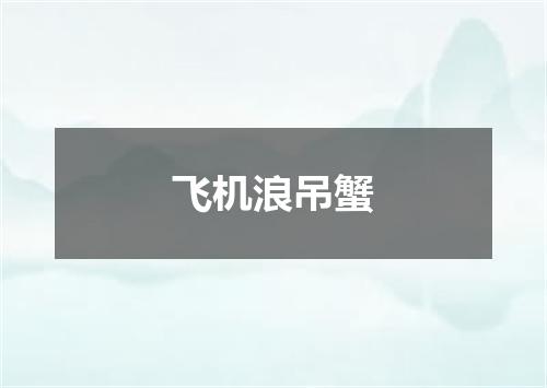 飞机浪吊蟹