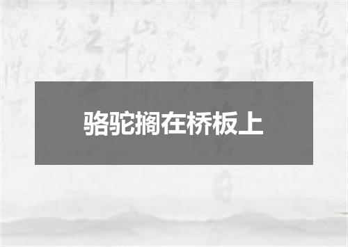 骆驼搁在桥板上
