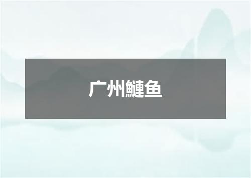 广州鰱鱼
