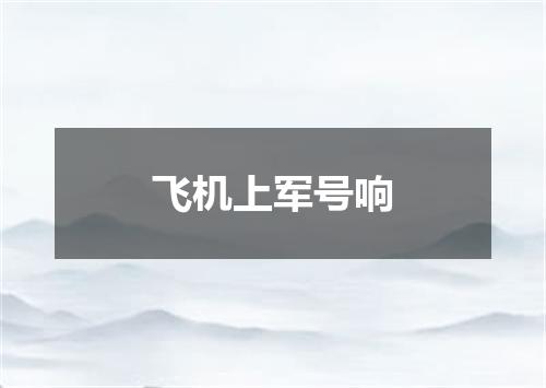 飞机上军号响