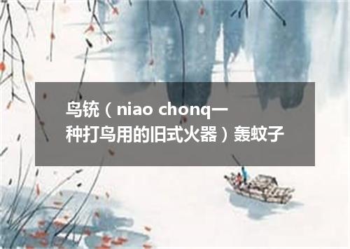 鸟铳（niao chonq一种打鸟用的旧式火器）轰蚊子