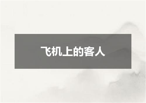 飞机上的客人