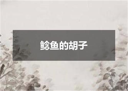 鲶鱼的胡子