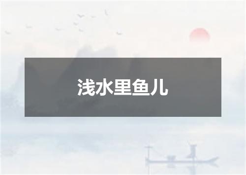 浅水里鱼儿