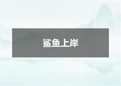 鲨鱼上岸