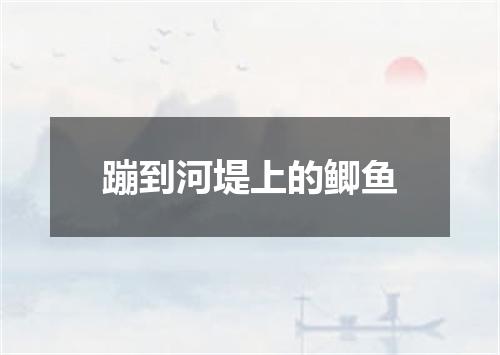 蹦到河堤上的鲫鱼
