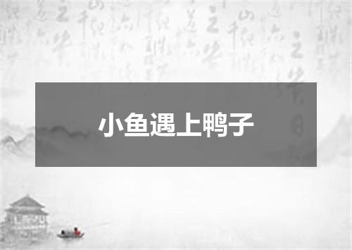 小鱼遇上鸭子