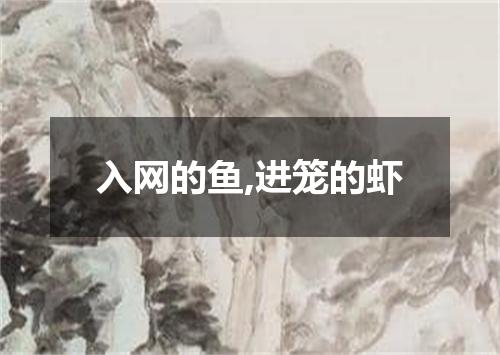 入网的鱼,进笼的虾