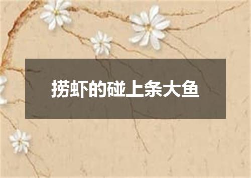 捞虾的碰上条大鱼