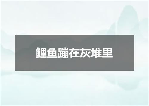 鲤鱼蹦在灰堆里
