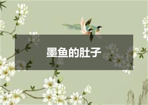 墨鱼的肚子