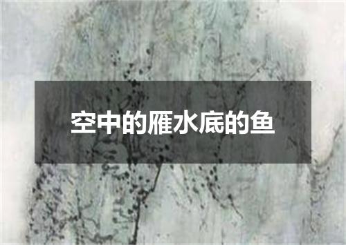空中的雁水底的鱼