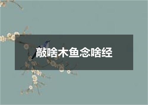敲啥木鱼念啥经