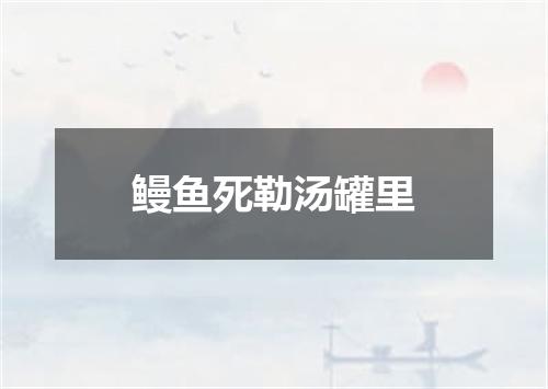 鳗鱼死勒汤罐里