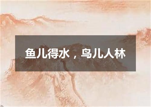 鱼儿得水，鸟儿人林