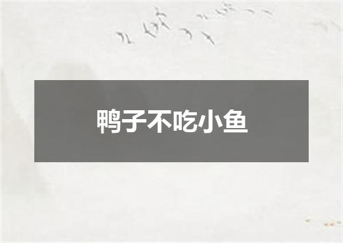 鸭子不吃小鱼
