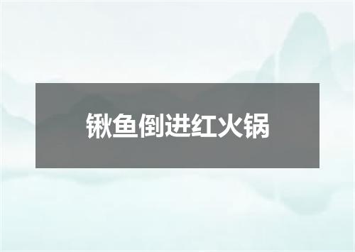 锹鱼倒进红火锅