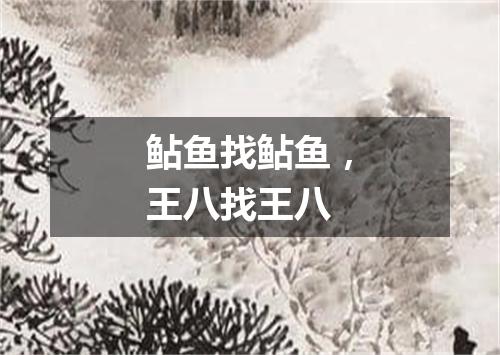 鲇鱼找鲇鱼，王八找王八