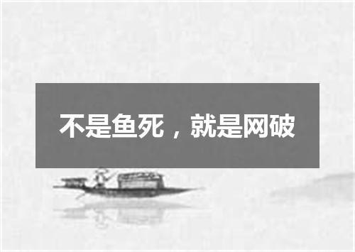 不是鱼死，就是网破